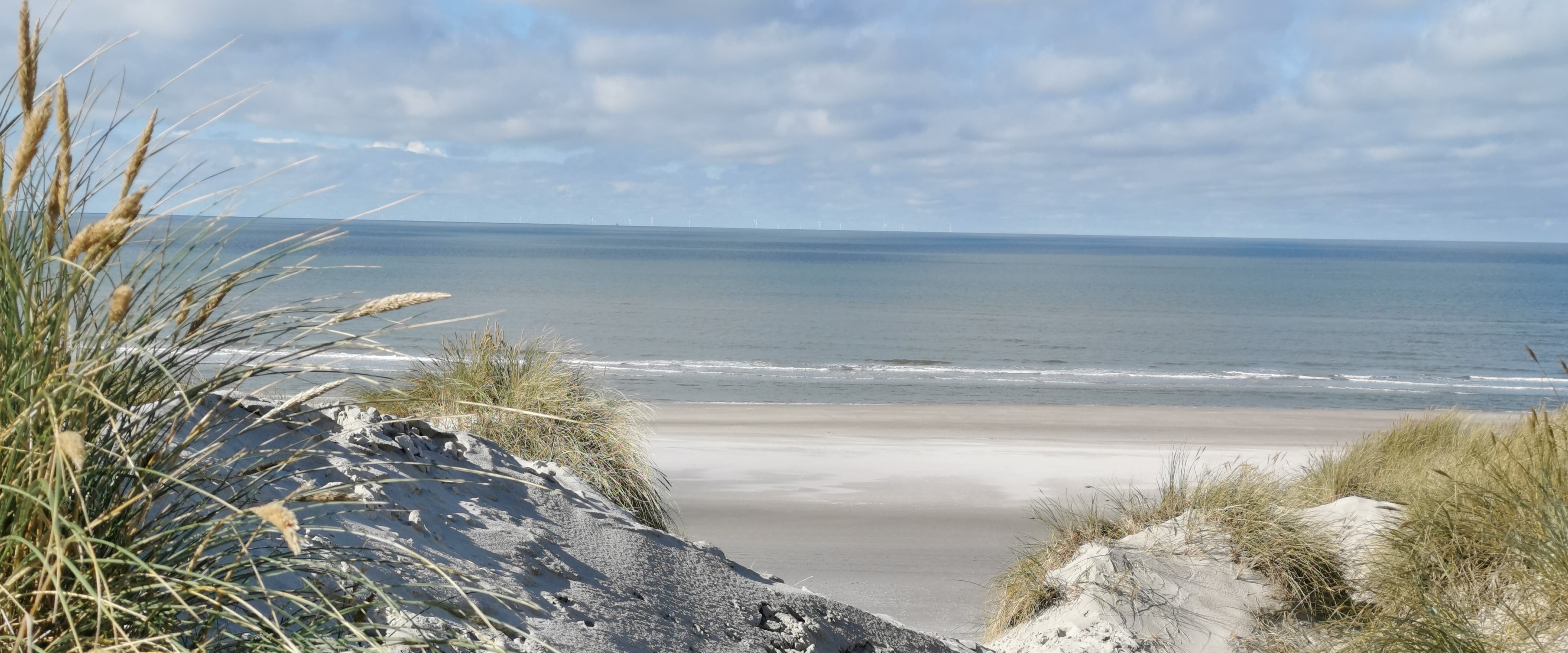 Vom Dünenweg zum Strand